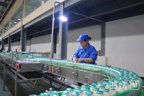 陸良現(xiàn)代化廠區(qū)投資2.8億，企業(yè)管理服務(wù)助力試生產(chǎn)階段高效運(yùn)行