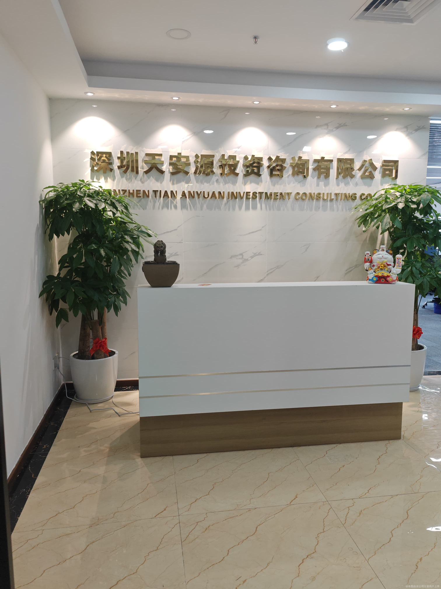 深圳天安源投資咨詢 專業(yè)引領(lǐng)，賦能企業(yè)投資決策